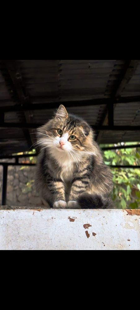 Photograph by Денис