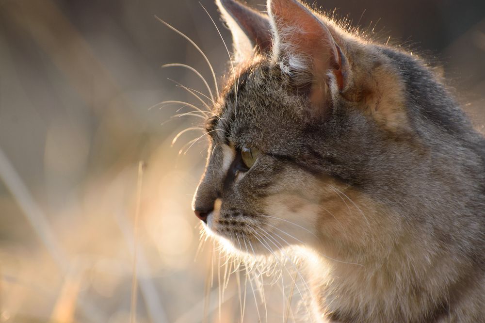 Photograph by Jana Špániková