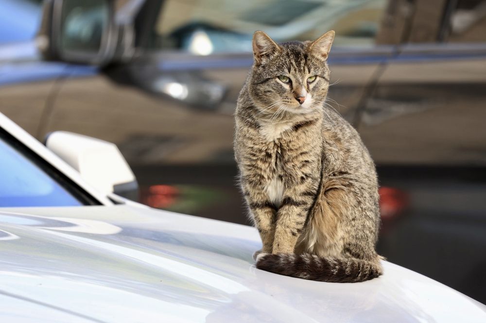 Photograph by Одаренко Ольга