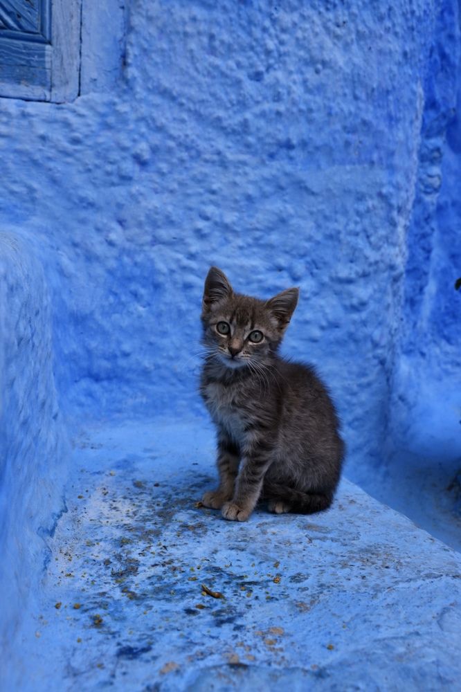 Photograph by Одаренко Ольга