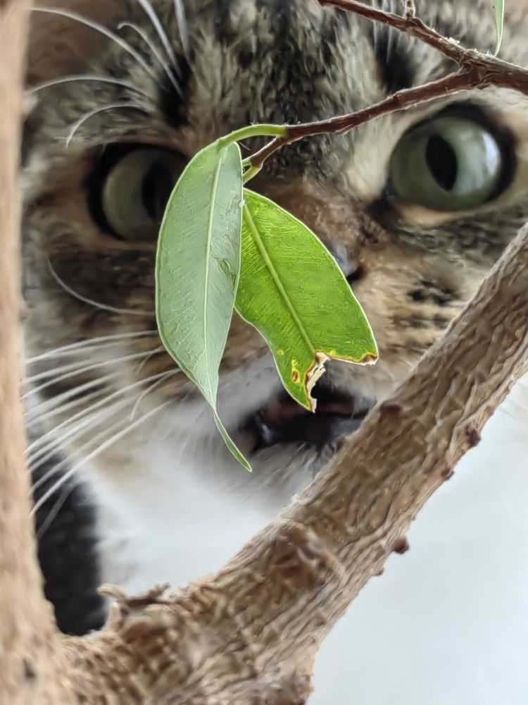 Фотография автора Андрей