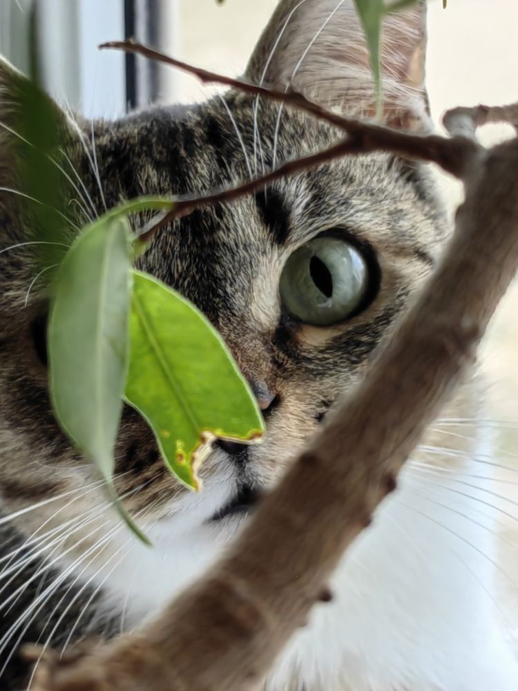 Фотография автора Андрей