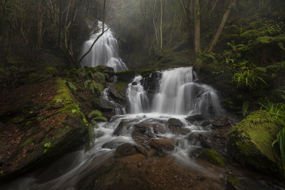 Photograph by Carlos Briones Bioslada
