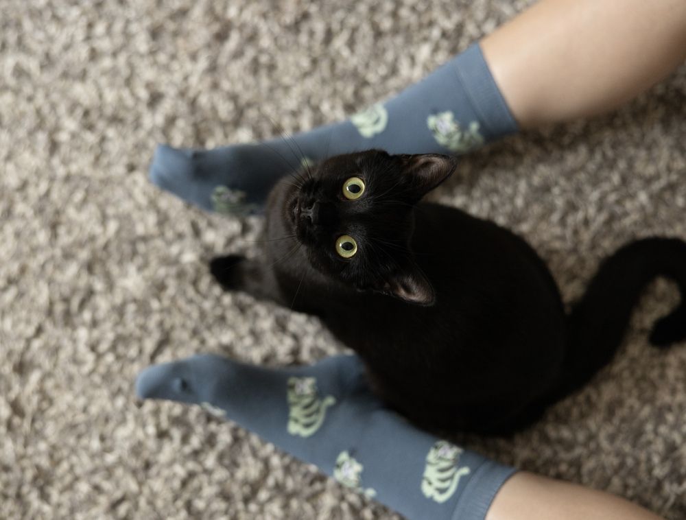 Photograph by Ольга Тихон