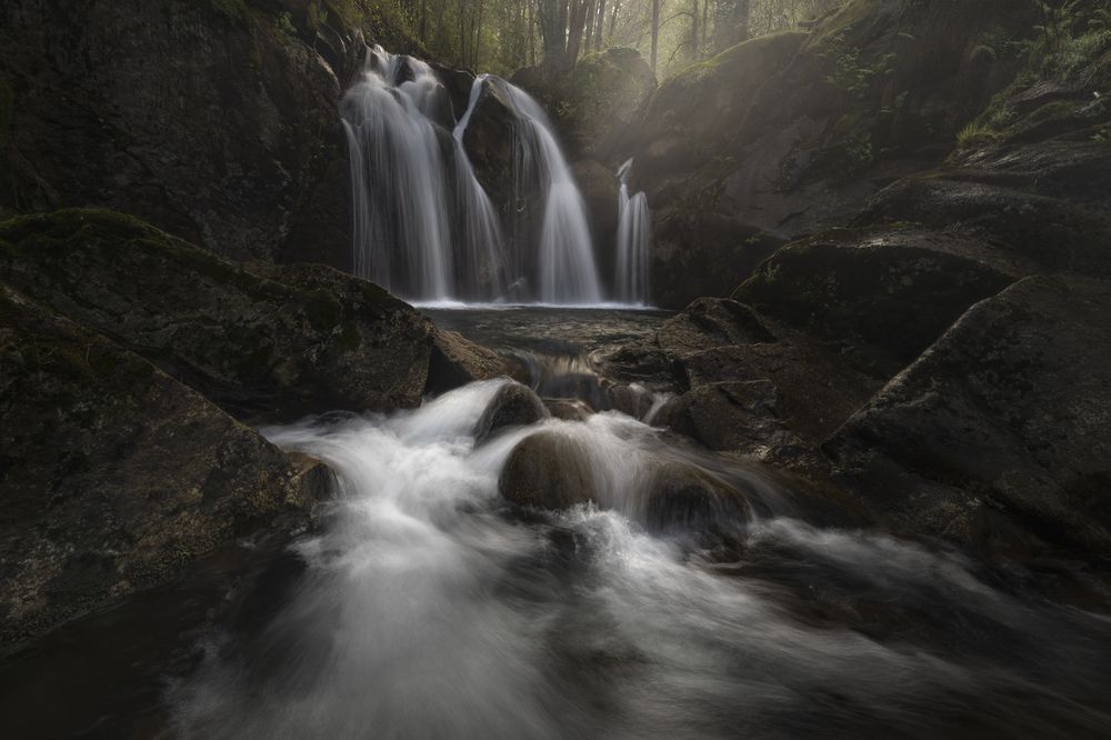 Photograph by Carlos Briones Bioslada
