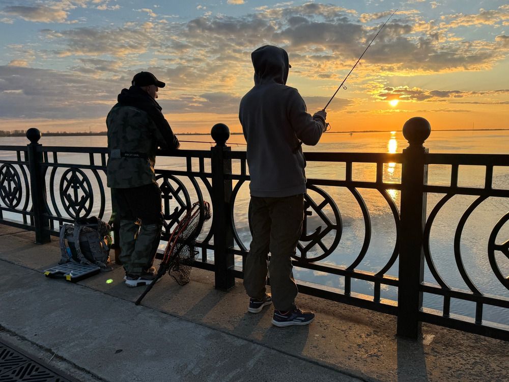 Photograph by Наталья Горовых