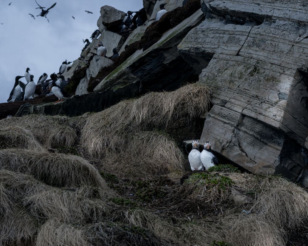 Фотография автора Ujwal Pasupuleati