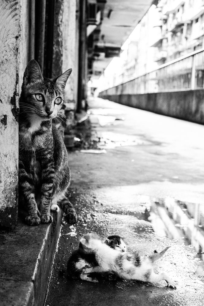 Photograph by Antonín Dudek