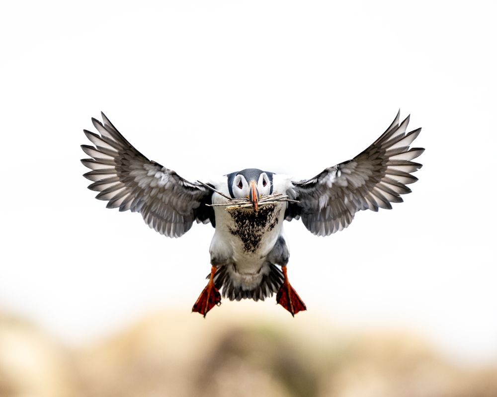 Photograph by Ujwal Pasupuleati