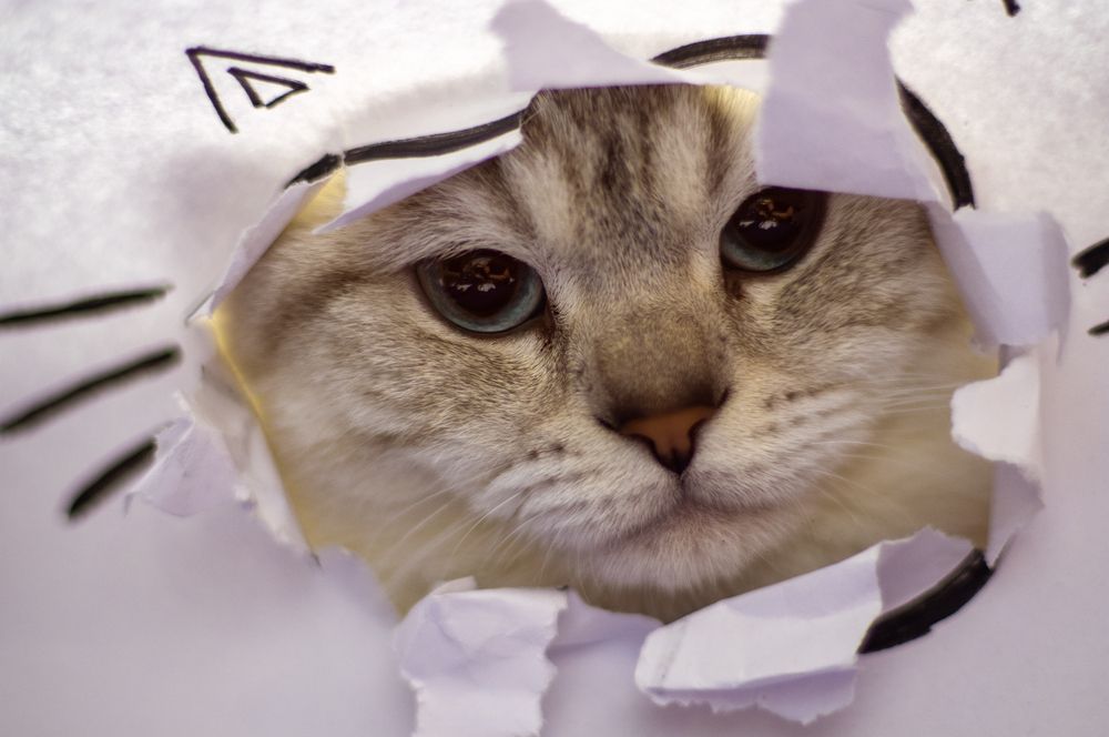 Photograph by Оксана Макарова