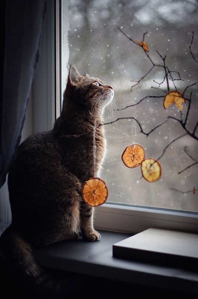 Photograph by Елена Мелихова