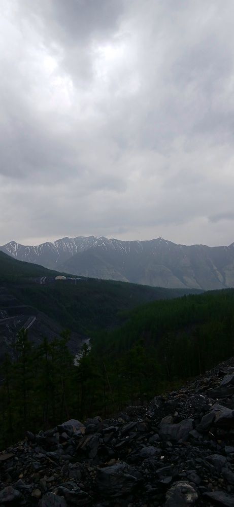 Photo #12245511