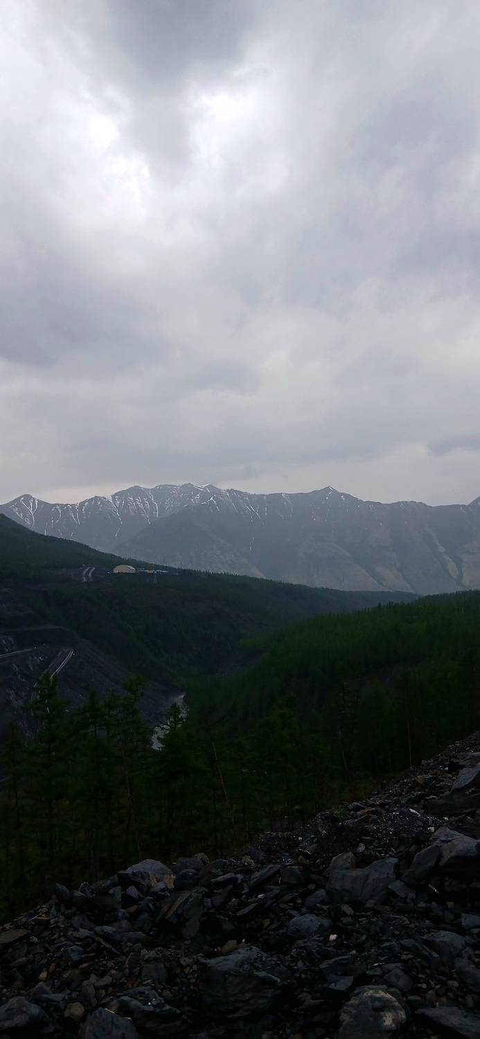 Photo #12245511