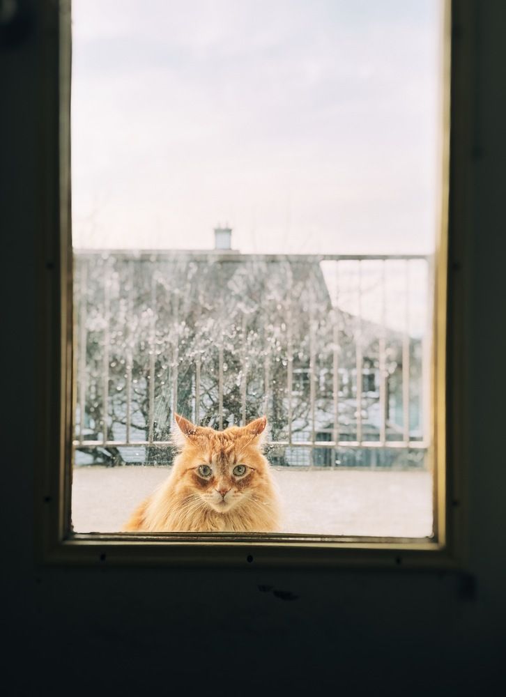 Photograph by Yana Bobrova