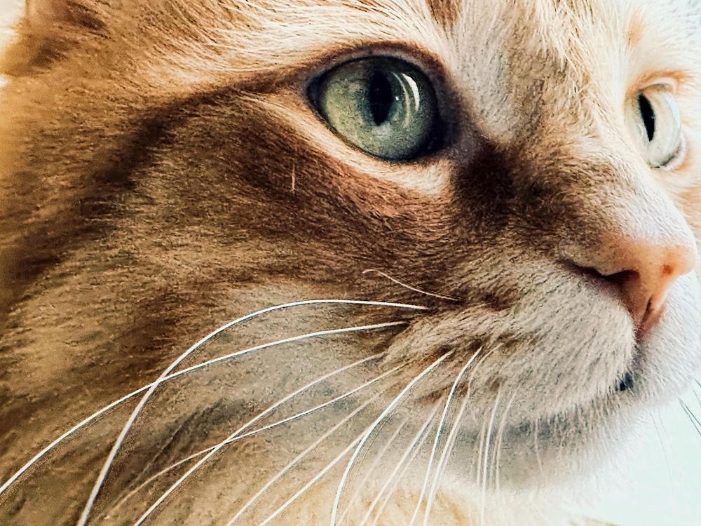 Photograph by Yana Bobrova