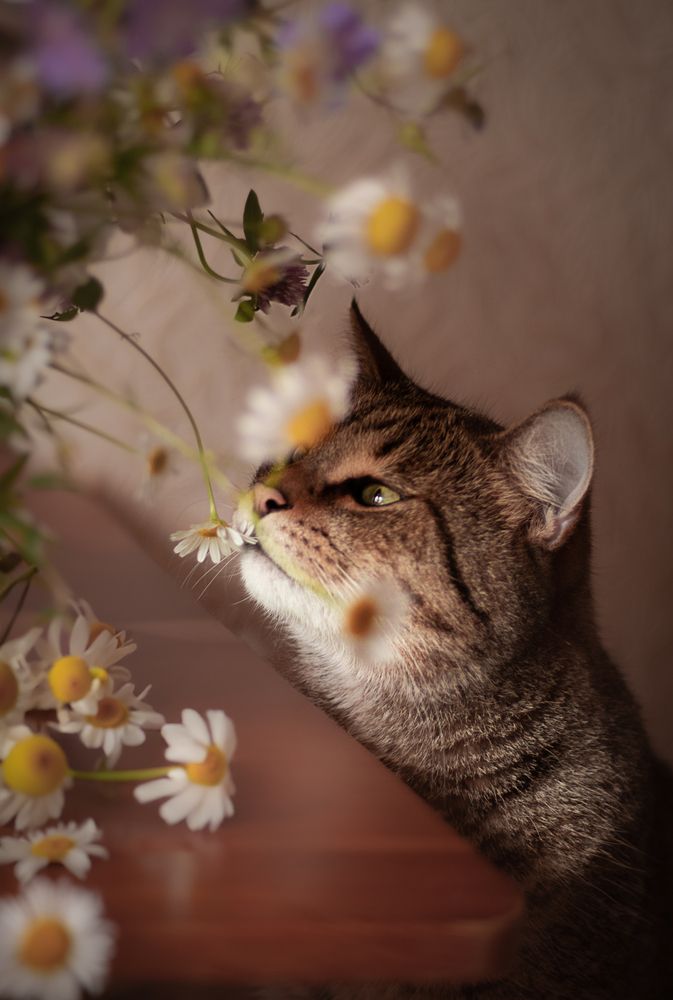 Photograph by Елена Мелихова