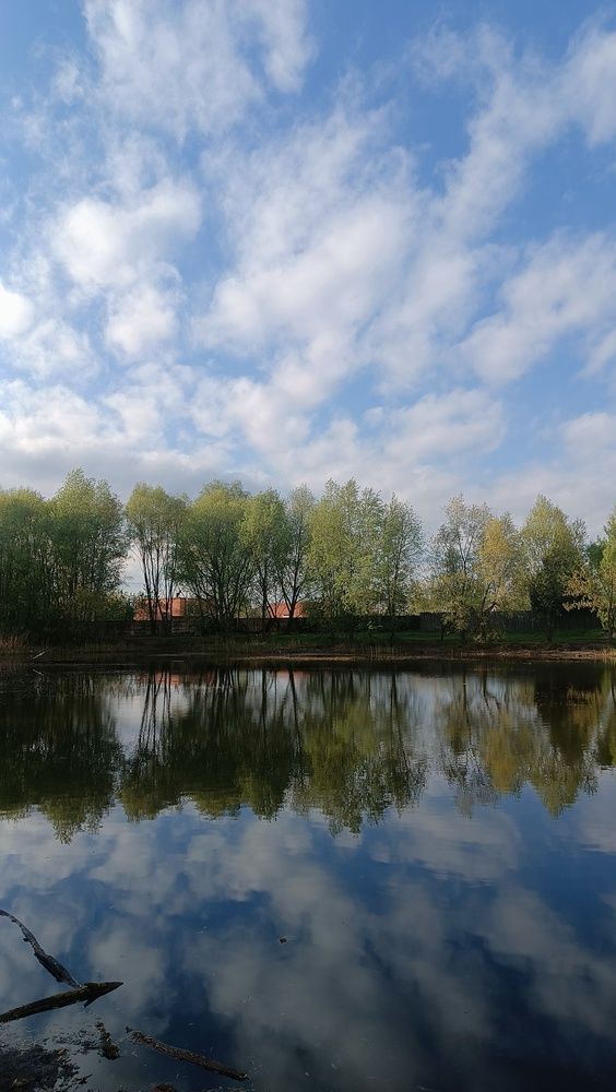 Photograph by Дарья Петровская