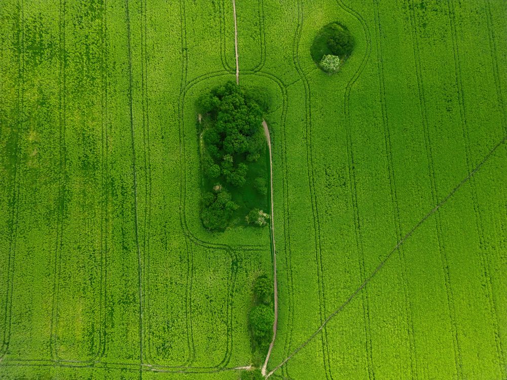 Photograph by Oleg