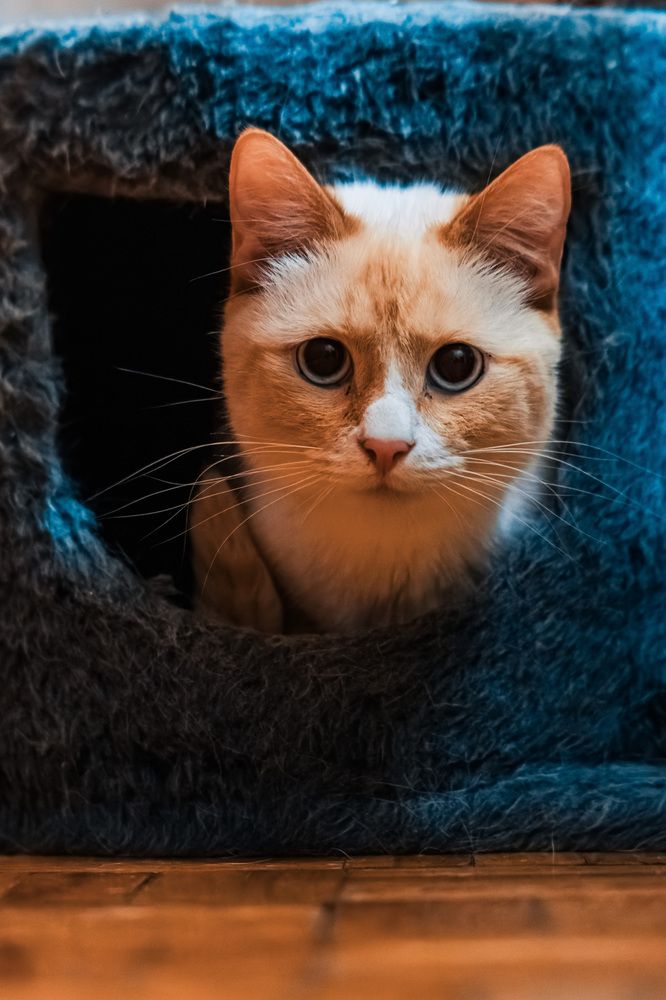 Photograph by Алексей Чеботарев