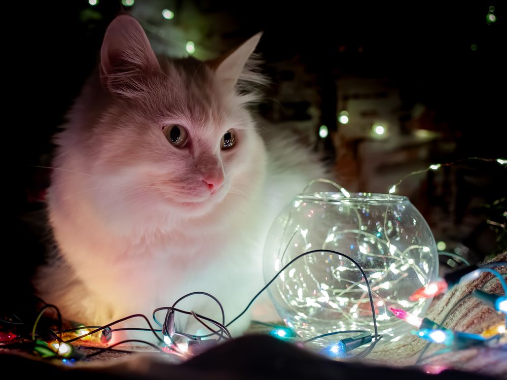 Photograph by Ирина Нестерова