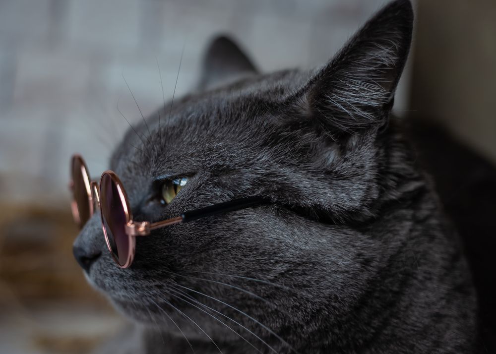 Photograph by Ирина Нестерова