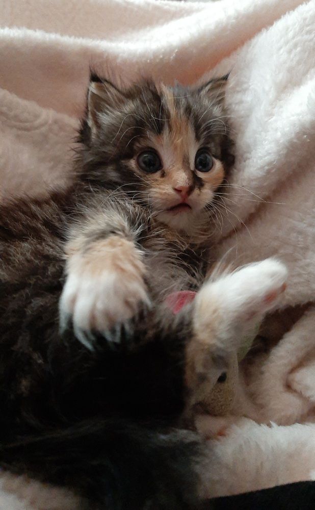 Photograph by Елизавета Иванова