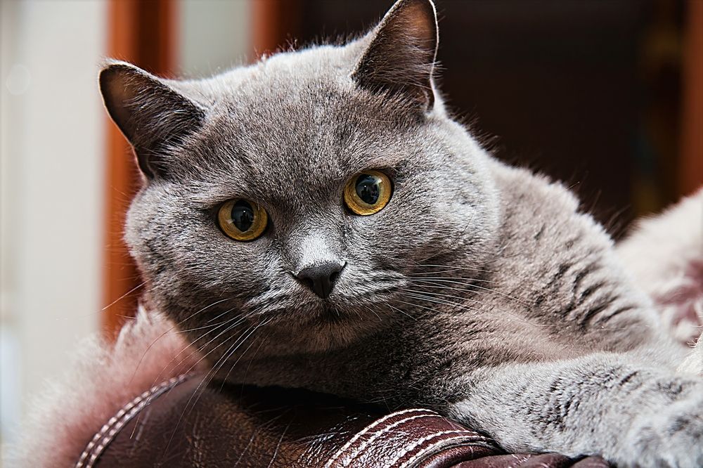 Photograph by Эльчин