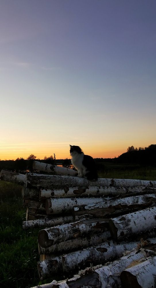 Photograph by Маргарита Ковалёва