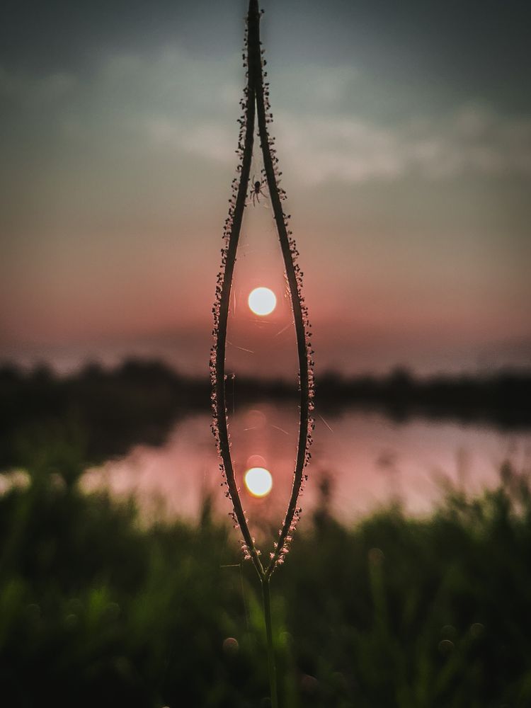 Photograph by Thịnh Nguyễn