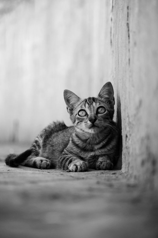 Photograph by DJAID MOHAMED