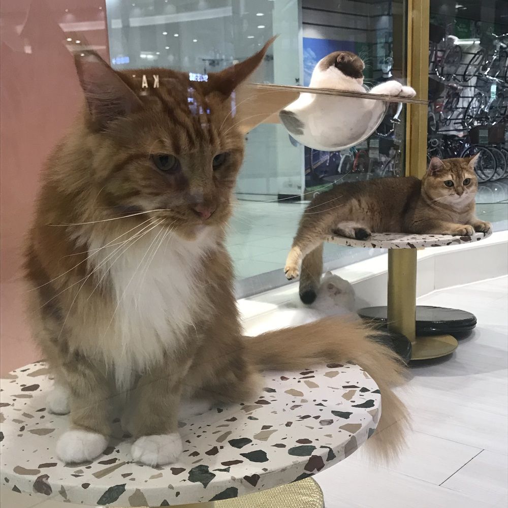 Photograph by HIEU LIEM DO