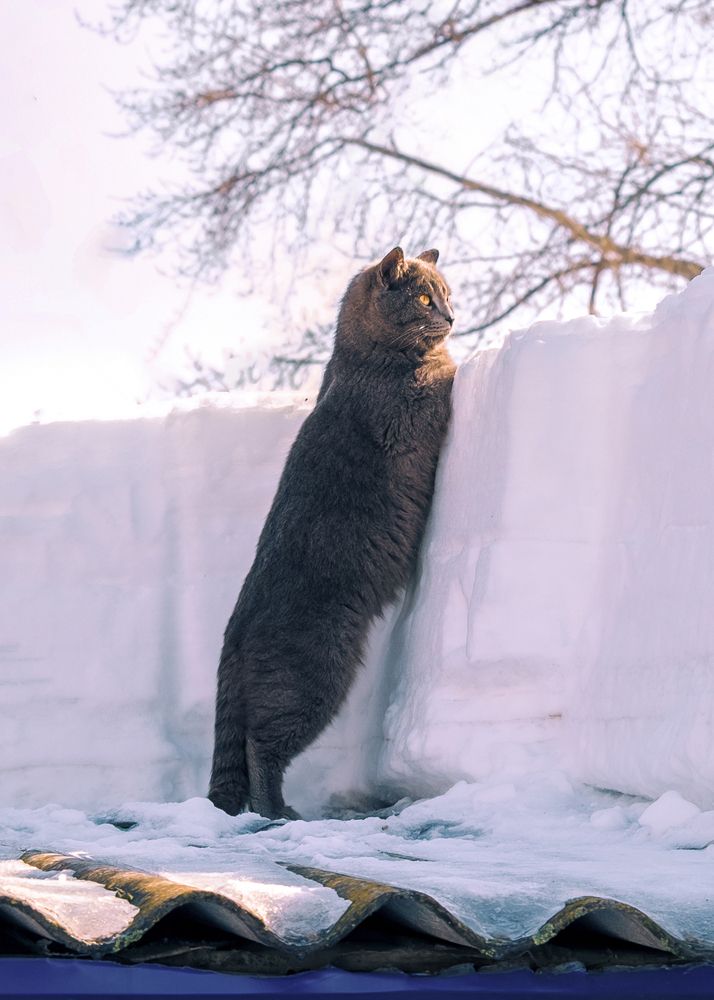 Photograph by Наталья Максимова