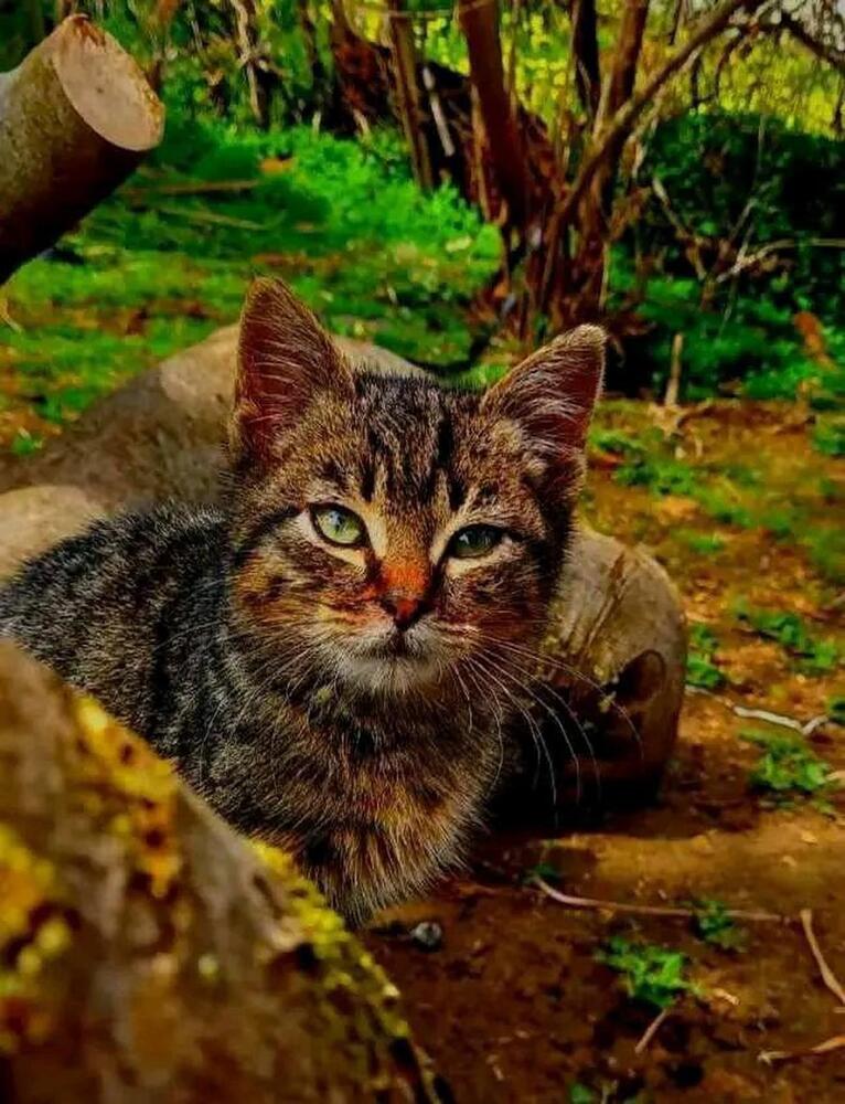 Photograph by Anwar Azzouz