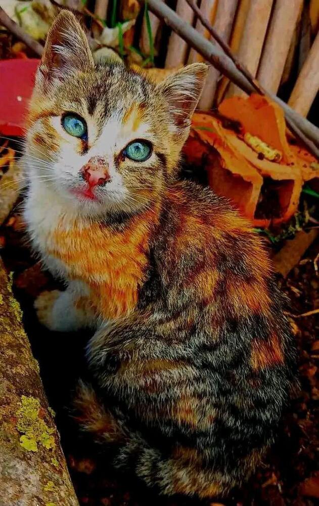 Photograph by Anwar Azzouz