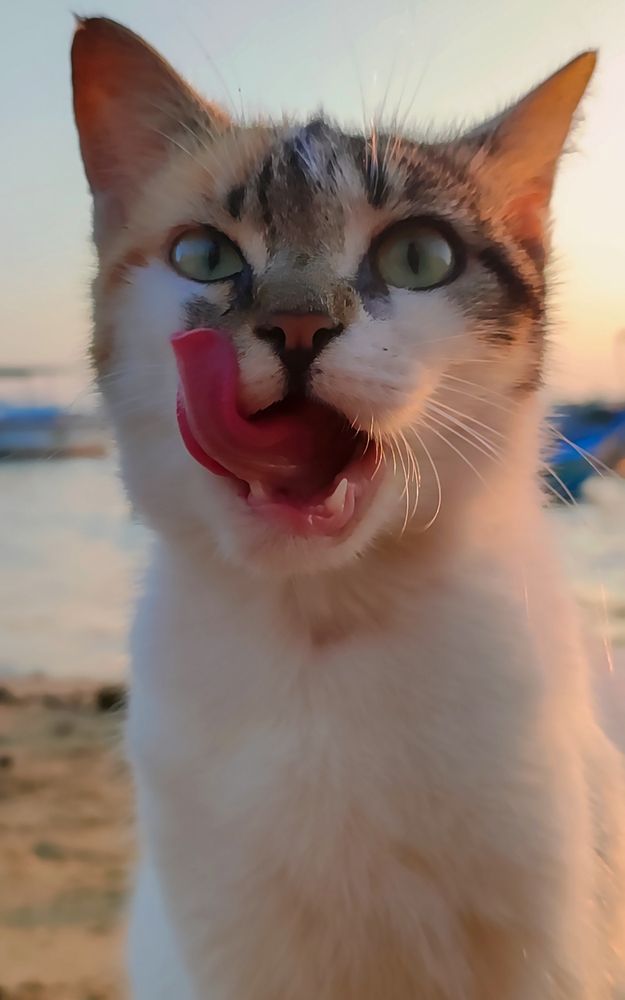 Photograph by Mohamed Magdy