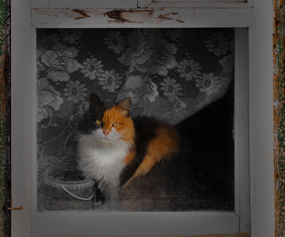 Photograph by Дарья