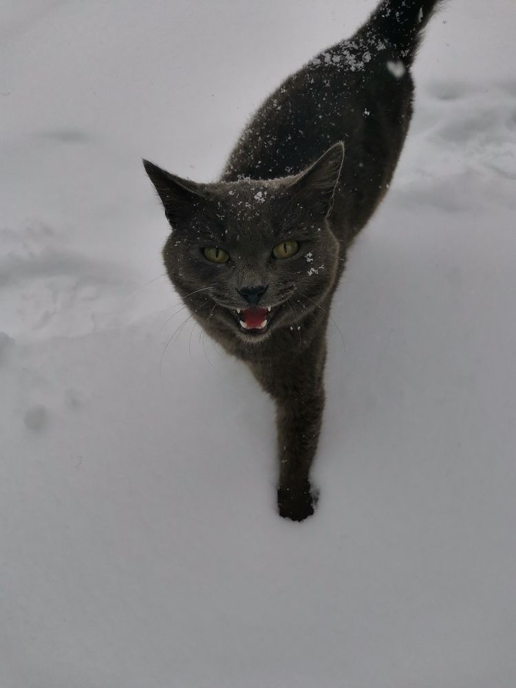 Photograph by Любовь Лунина