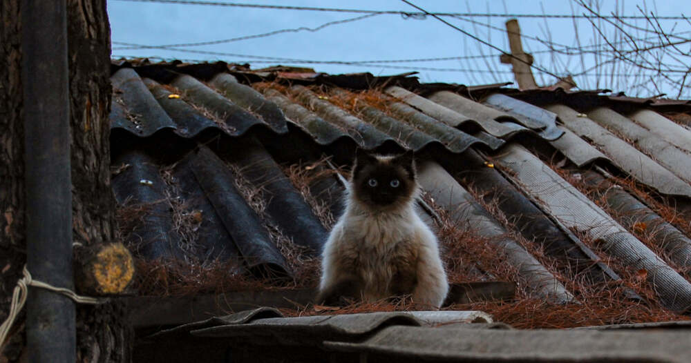 Photograph by  SaidArt