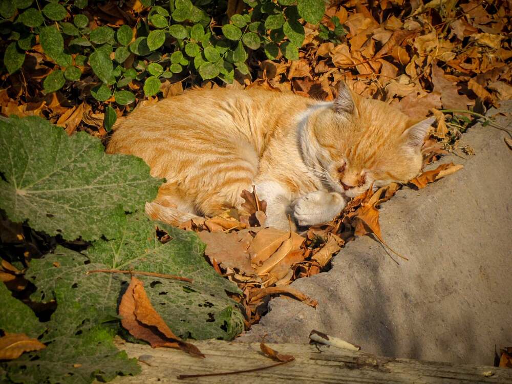 Photograph by  SaidArt