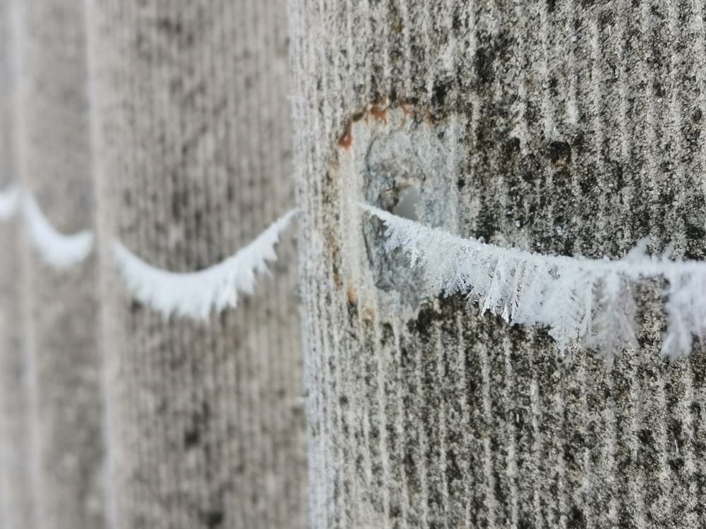 Photograph by Любовь Лунина