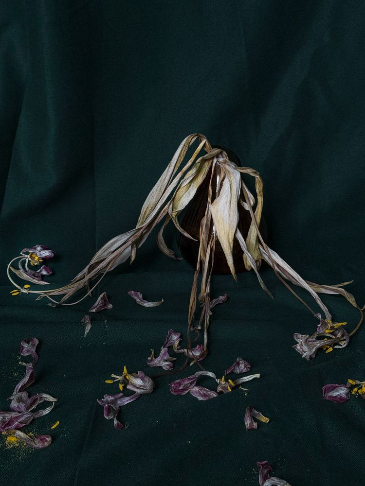 Photograph by Соколова Виктория