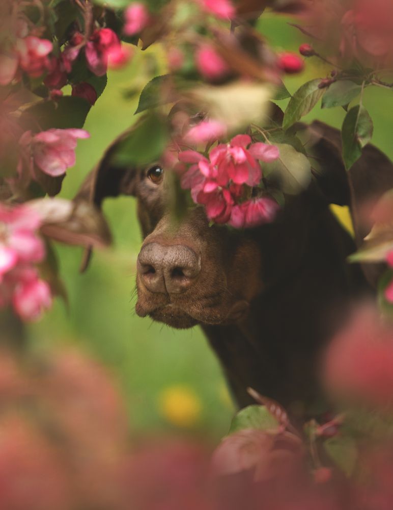 Photograph by Мария Клещенко