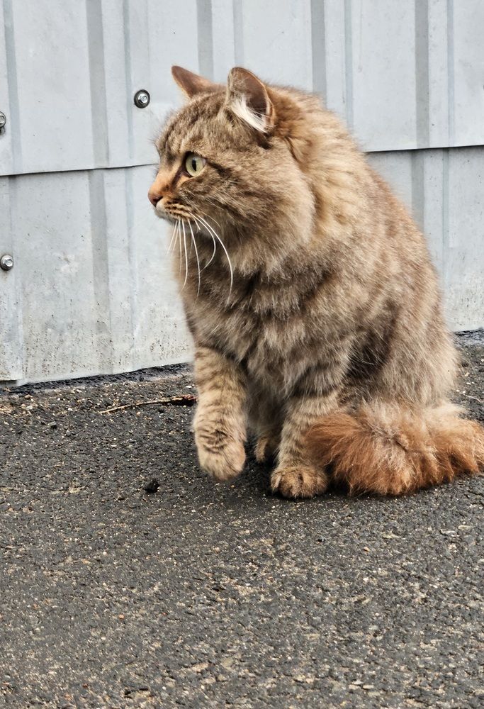 Photograph by Наталья Анисимова