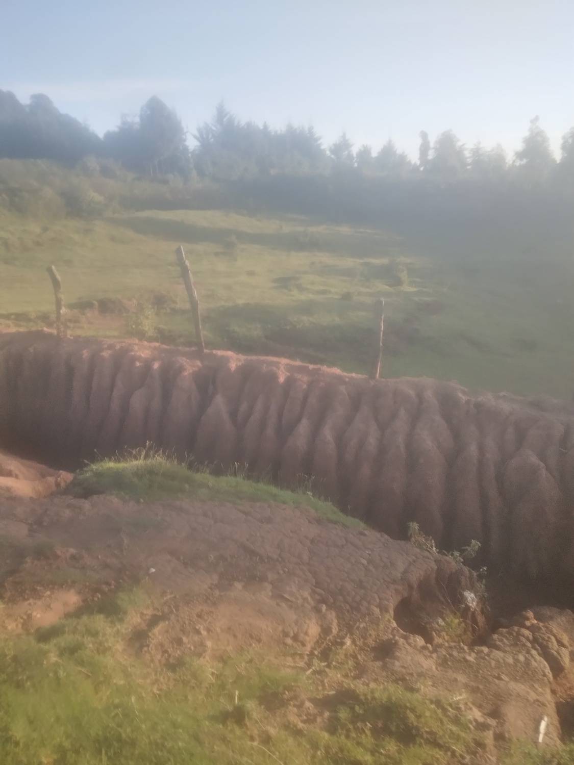 Photo #12245942