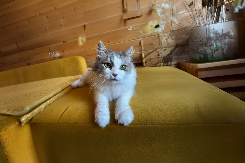 Photograph by Елена Самусенкова