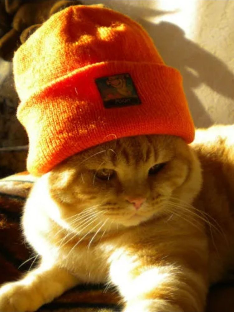 Photograph by Ия Дирко