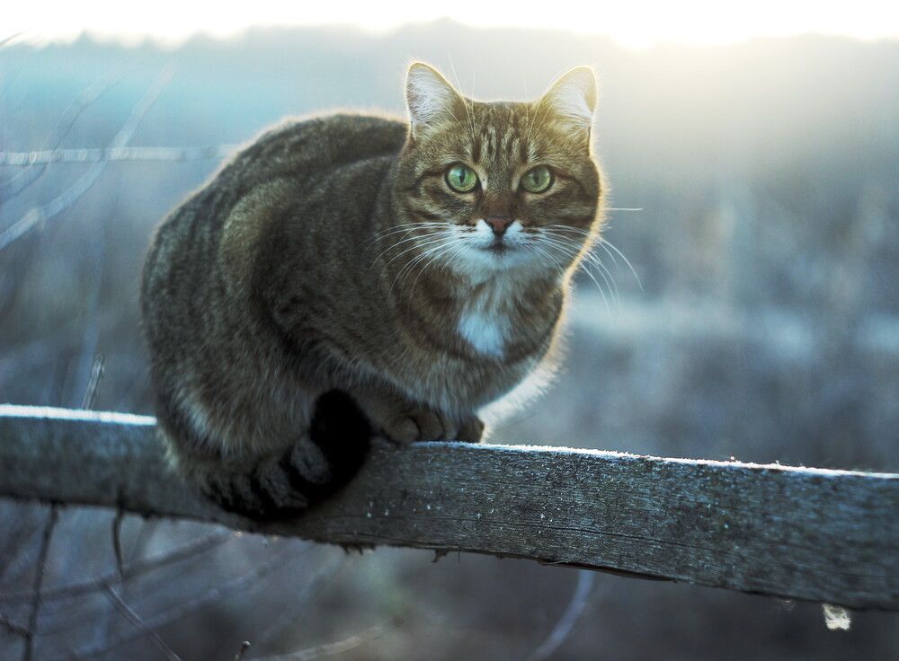 Photograph by Валентина Евсеева