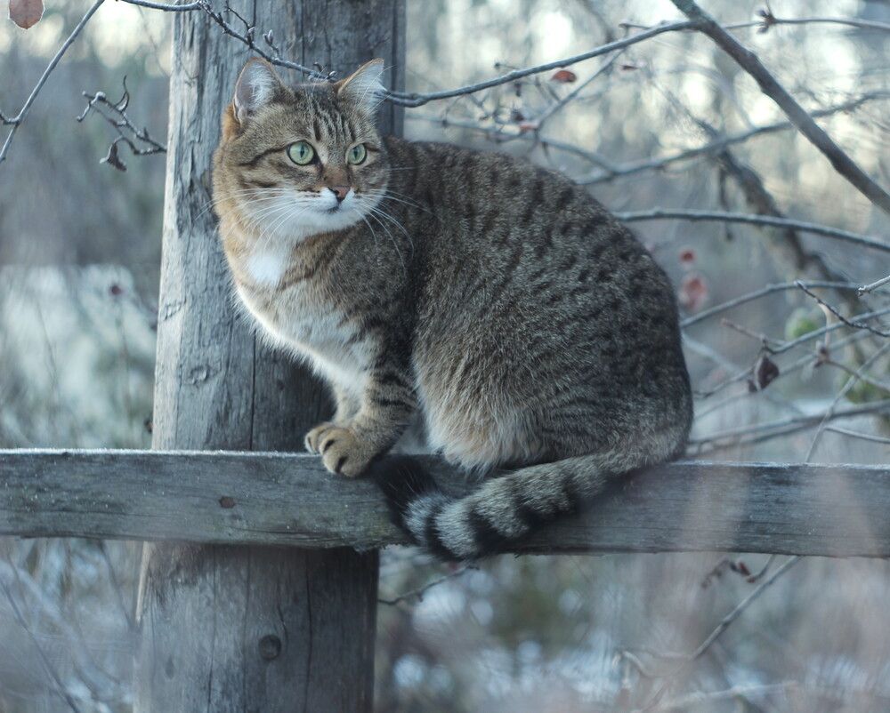 Photograph by Валентина Евсеева