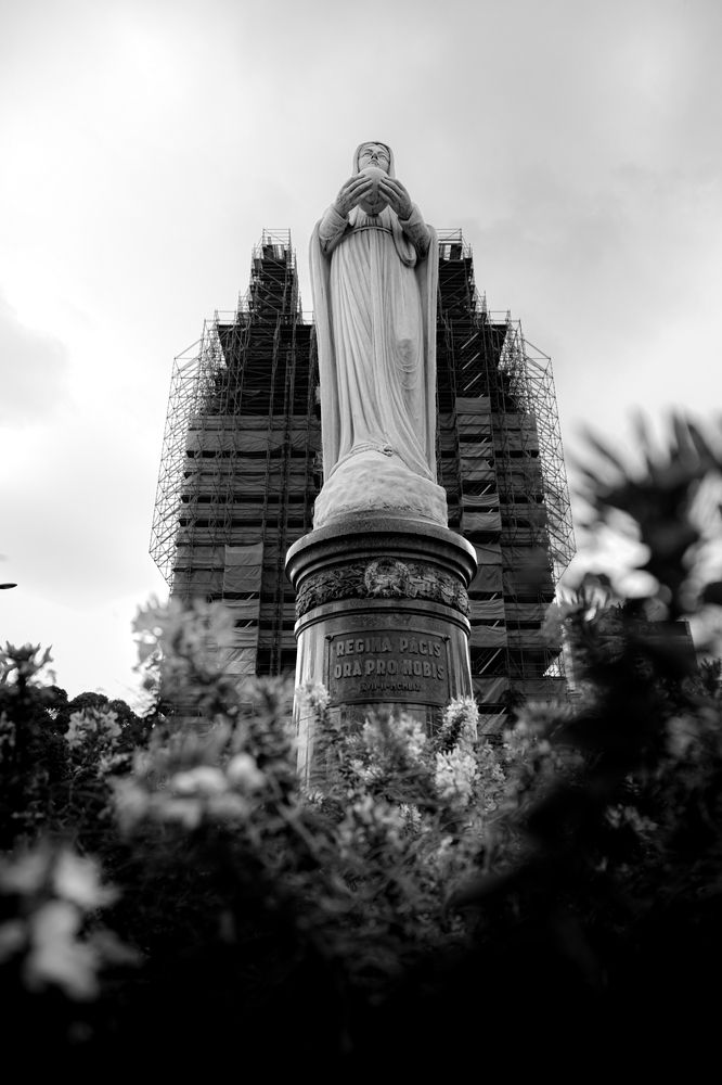 Фотография автора Trần Thành Đạt