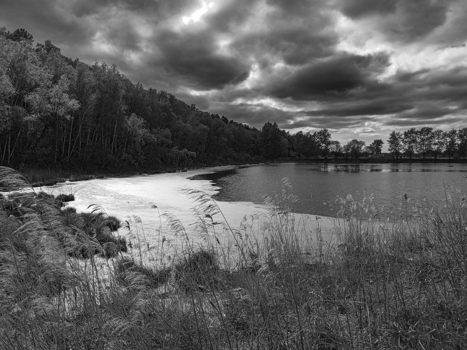 Photo #12245987